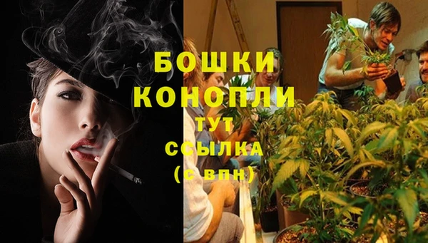 apvp Лиски