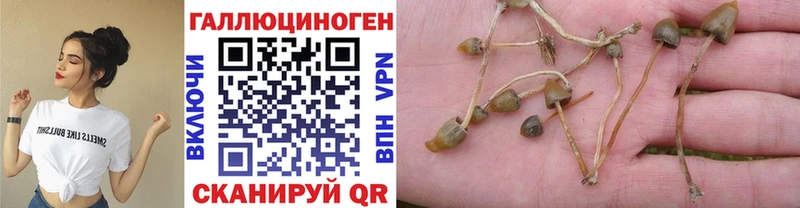 Галлюциногенные грибы мицелий Туймазы