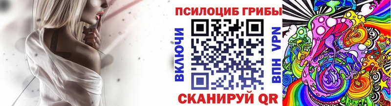 Псилоцибиновые грибы Psilocybe  кракен ссылки  Туймазы 